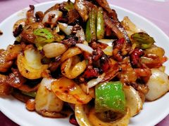 麻花回锅肉-乐乐餐厅(湘子庙街店)