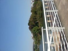 -新江湾城公园