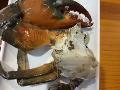 -养牛邓·潮汕牛肉海鲜自助火锅(广州店)