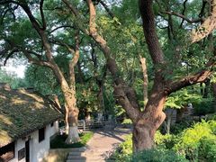 -吴山景区