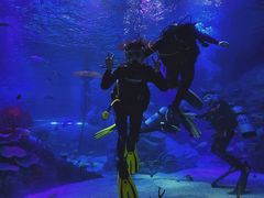 -沈阳海洋探索中心