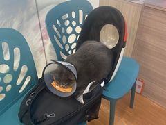 -荔康动物医院(康王北路店)