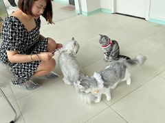 -怪兽屋·羊驼·猫咖·狗咖(俊华广场店)