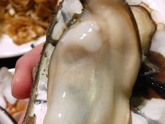 -土蚝·高压锅生蚝(百姓美食街店)