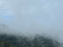 -野象谷景区