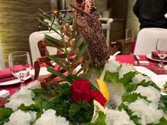 -上海松江假日酒店