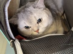 -美联众合动物医院·24h京西诊疗中心