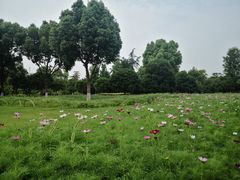 -院士公园
