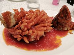 松鼠桂鱼-亢龙太子酒轩·花园店
