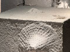 -上海当代艺术博物馆