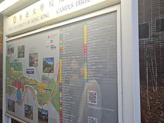 -香港大学