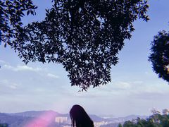 -火炉山森林公园