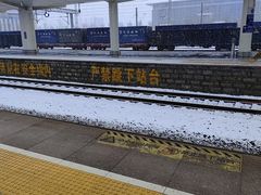 -潍坊站
