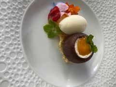 -蝶舍·MAISON PAPILLON