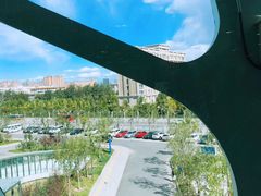 -首都医科大学附属北京天坛医院