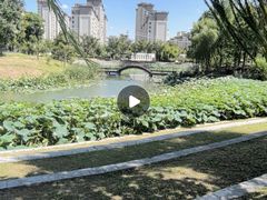 -竹西公园