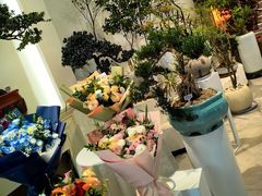 -溪岸路花鸟市场