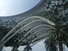 -三亚国际免税城-美食广场