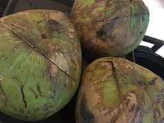 -东椰·海南椰子鸡火锅(朝阳门店)