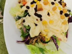 特选厨师沙拉-桃子餐厅·天津菜(红星路直营店)