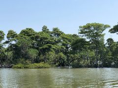 -东寨港红树林旅游区