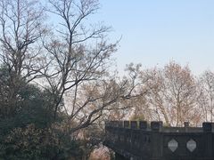 -紫金山天文台