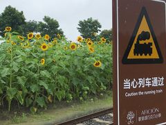 -歌斐颂巧克力小镇