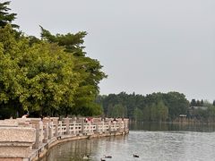 -海珠湖公园