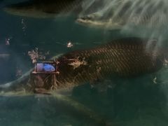 -台州海洋世界