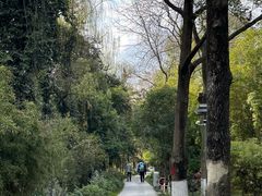 -成都市活水公园