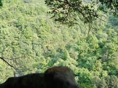 -石台牯牛降景区