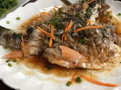 -悠悠美食