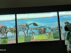-云南省博物馆