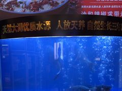 -潇湘码头·鲜湘菜(清河店)