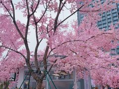 -首开·龙湖成都西宸天街