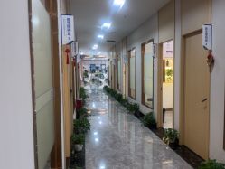 点击看大图 -碧莲盛·不剃发植发