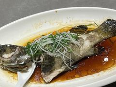 -大东海海鲜酒楼(渔人码头总店)