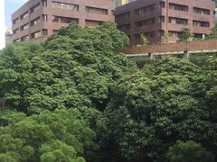-香港大学