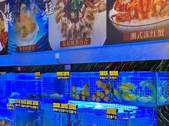 -厝包四点金·潮宴(太古仓店)