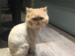 -小时光咖啡馆(开森度假森林店)