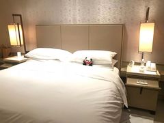 -北京康莱德酒店