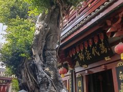 -叩齿古寺