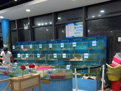 水产区-锦里海景海鲜餐厅.三亚老字号(亚龙湾中心广场店)