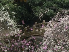 -北寺塔