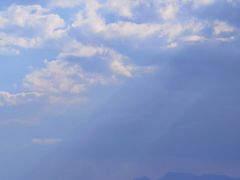-长虫山生态公园风景林