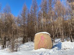 -横道河子东北虎林园
