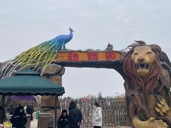 -倒盏民俗文化村