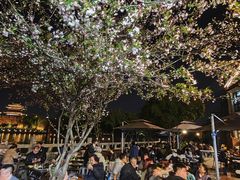 -聚汇三少·龙虾·中餐厅(莫邪路新天地店)