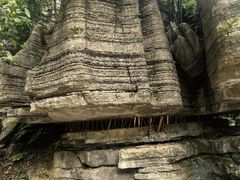 -梭布垭石林景区