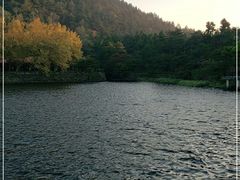 -庐山风景区花径公园